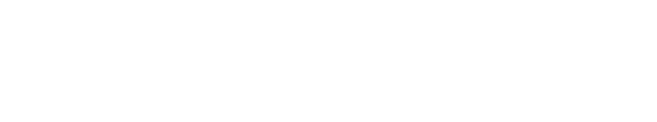 Main Logo